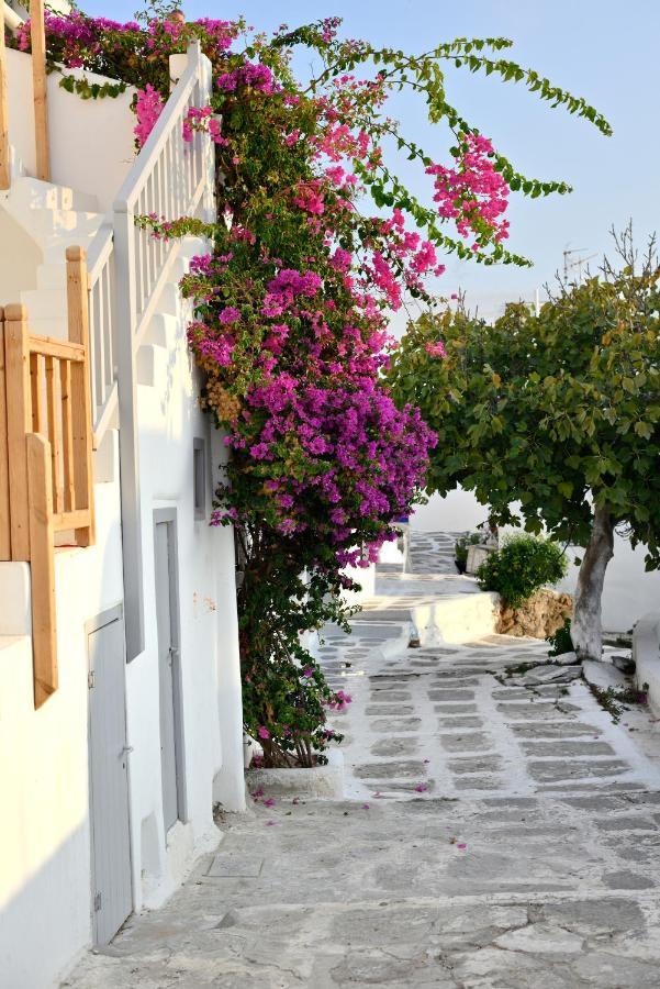 Marietta'S Daire Mykonos Town Dış mekan fotoğraf